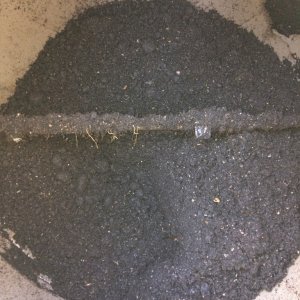 My compost