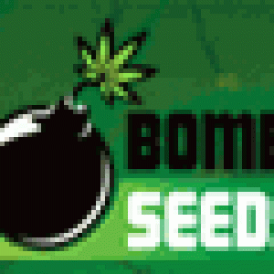 Bomb