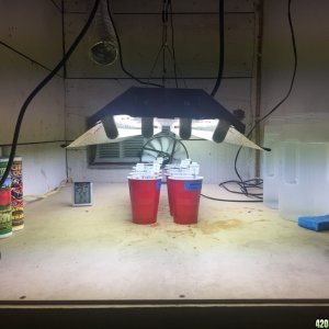 3x4.5x5 Grow Area Above Stairs