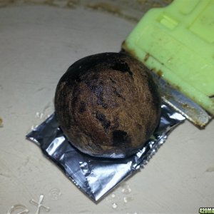 Planet Hashish