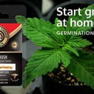 Growers Choice Home Page