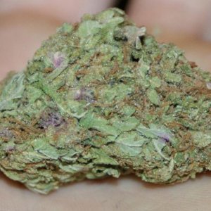 A Little Purp