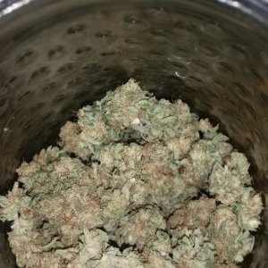 Amherst Sour Diesel