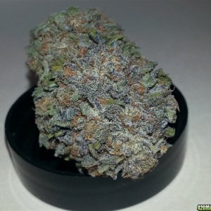 Humboldt Seeds - Bubba's Gift