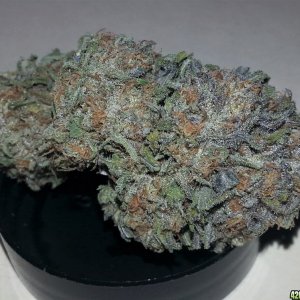 Humboldt Seeds - Bubba's Gift