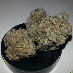 CKS - White Cookies 1 year cure