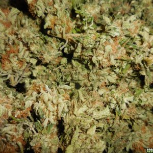 Jarred_Double_Berry_30zips_004