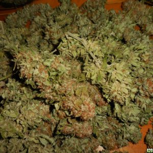 Jarred_Double_Berry_30zips_005