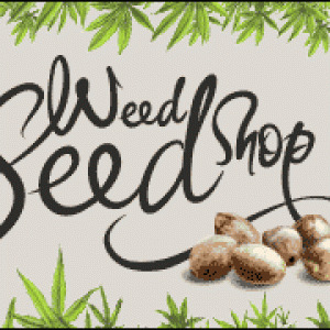 Weed Seed Shop