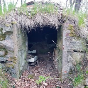 Root cellar