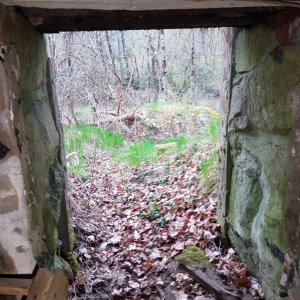 Root cellar