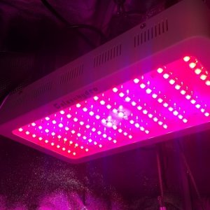 Galaxy Hydro 300W LED Light