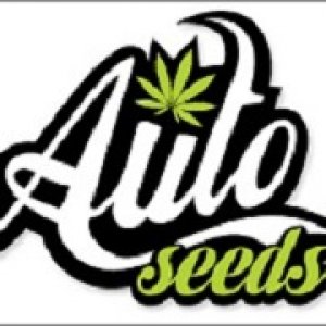 Auto Seeds Home Page Image