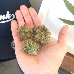 We don't do diet bud round here ;) Kiwi Skunk