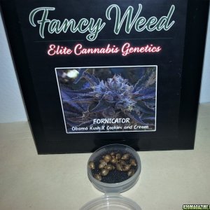 Fancy Weed - Fornicator