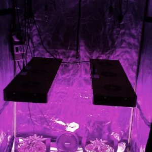 4 X 4 Grow Tent