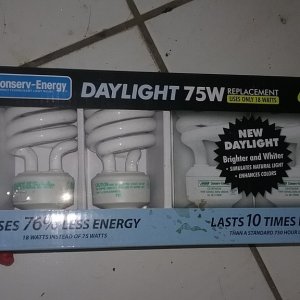 Daylight bulbs