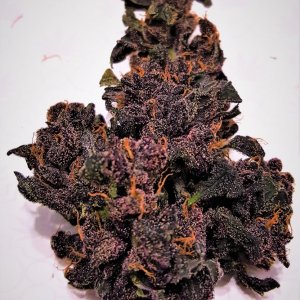 Blackberry_Kush_1