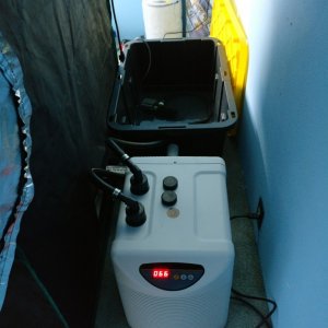 Chiller installed