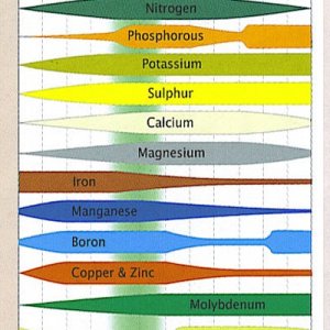 ph chart