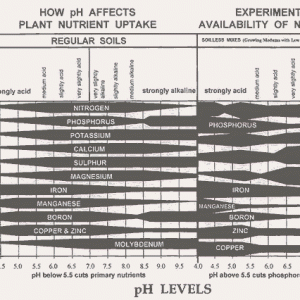 pH Chart