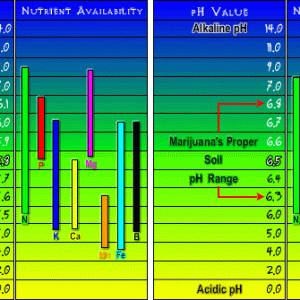 pH Chart