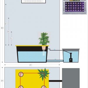 A RDWC plan