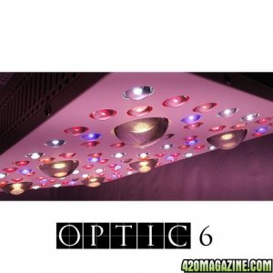 Optic_LED_Optic_6_LED_Grow_Light-3_large