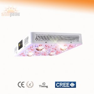 SunPlus LED