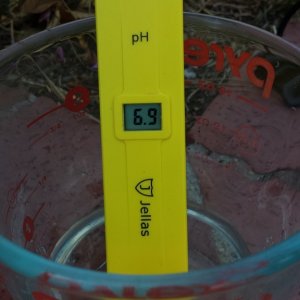 pH after flush BB1, ~ same as hose water in