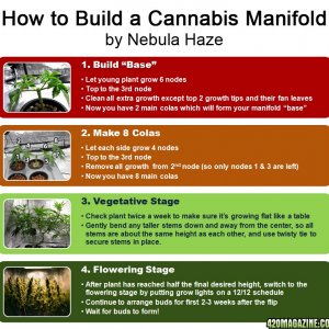 how-to-build-cannabis-manifold-nebula