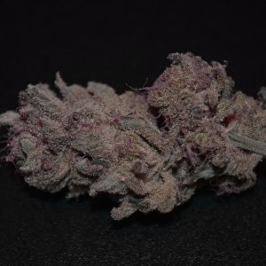 Blueberry gum #2