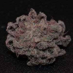 Blueberry gum #2