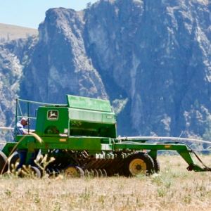 Hemp Harvest - Dave Bernstein