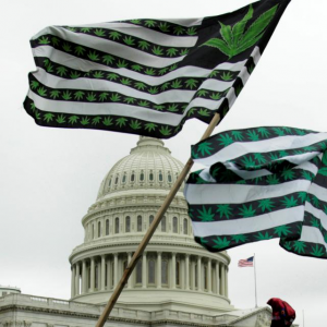 Flags Cannabis - Reuters