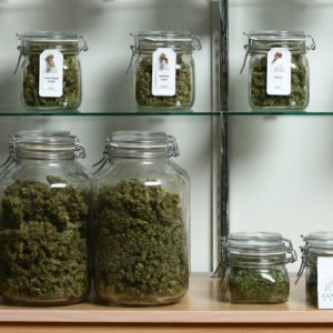 Jars of Cannabis2 - Getty Images