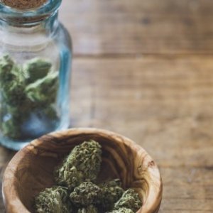 Bowl of Buds - iStock