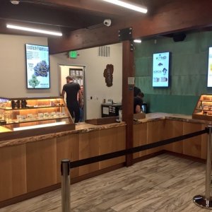 Dispensary in Lake Tahoe - Tom Miller