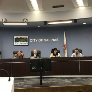 Salinas Council - Amy Wu