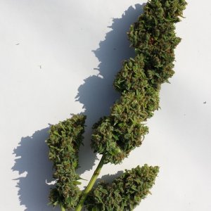 AK-47 top trimmed