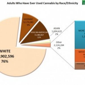 us-adult-use-ever-races-300x218