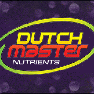 Dutch Master