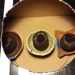 Peat pots in the shoe box 2