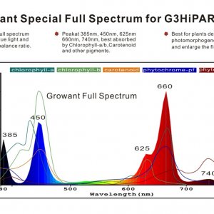 GROWant Full Spectrum LEDs