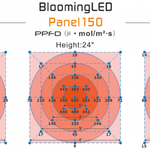 Bloom LED