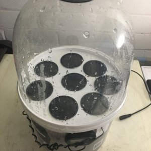 diy aero propagator3