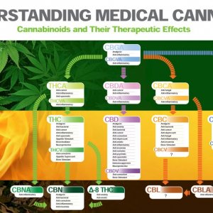 Cannabinoid Conversion Chart