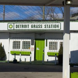 Dispensary in Michigan - Chastity Pratt Dawsey