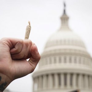 Advocate in DC - Getty Images