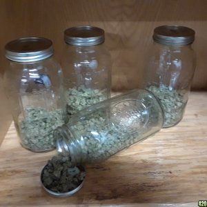 gsc_jars